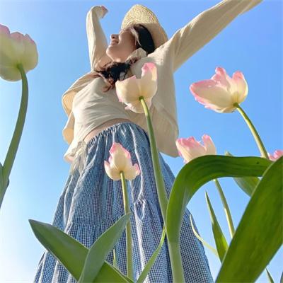 乔小姐的顶级白月光